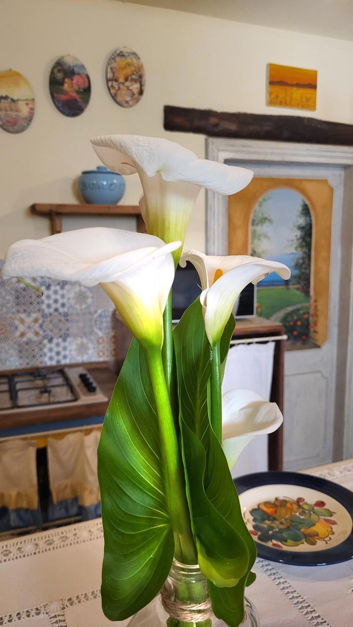 טואורו סול טראסימנו La Reginetta Holiday Home מראה חיצוני תמונה